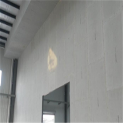 靖远宁波ALC板|EPS加气板隔墙与混凝土整浇联接的实验研讨
